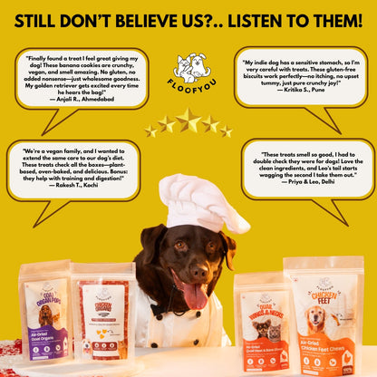 Floofyou Classic Banana Vegan Oven Baked Cookie Dog Treats