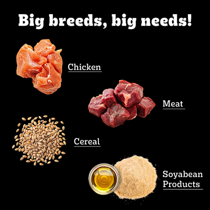 Pedigree PRO Expert Nutrition Lactating/Pregnant Mother & Puppy Starter(3 to 12 Weeks) Large Breed Dog Dry Food  (Limited Shelf Life)