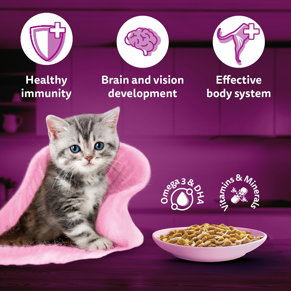 Whiskas Kitten Tasty Mix Wet Food Combo |Chicken, Tuna, Seafood & Salmon