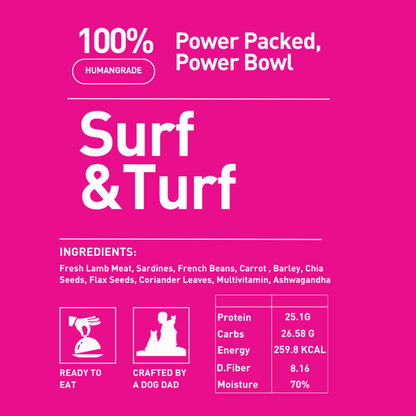 Homiee & Ginger Power Bowl Surf & Turf, Fish Fiesta and Chicken & Barley Fresh Food for Dogs Combo