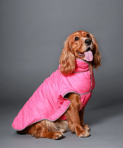 Pet Set Go Wind Sheeter Jackets for Dogs (Pink)