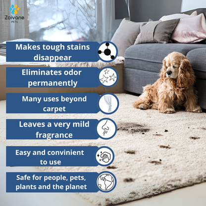 Zoivane Stain and Odour Eliminator for Dogs and Cats