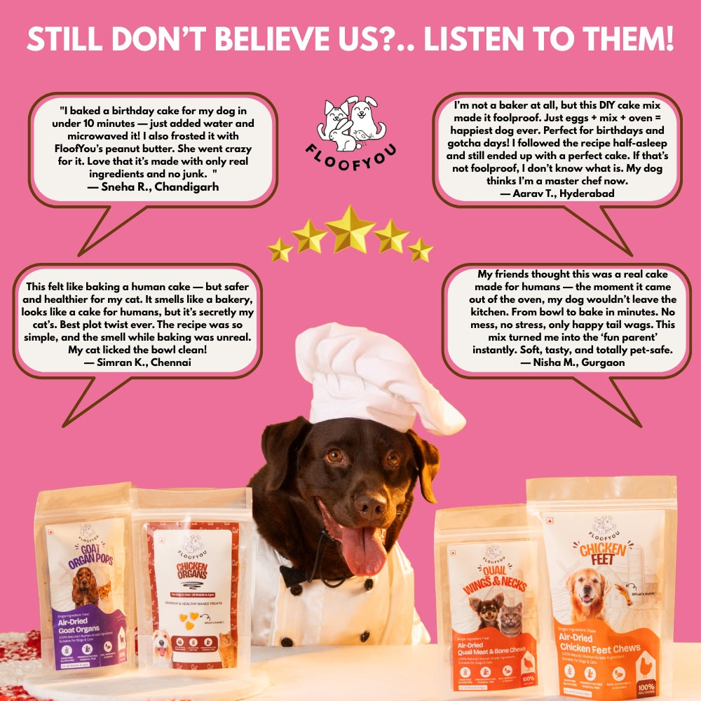 Floofyou Home Made Chicken Liver Birthday Cake Mix for Dogs and Cats