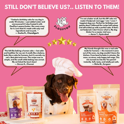 Floofyou Home Made Chicken Liver Birthday Cake Mix for Dogs and Cats