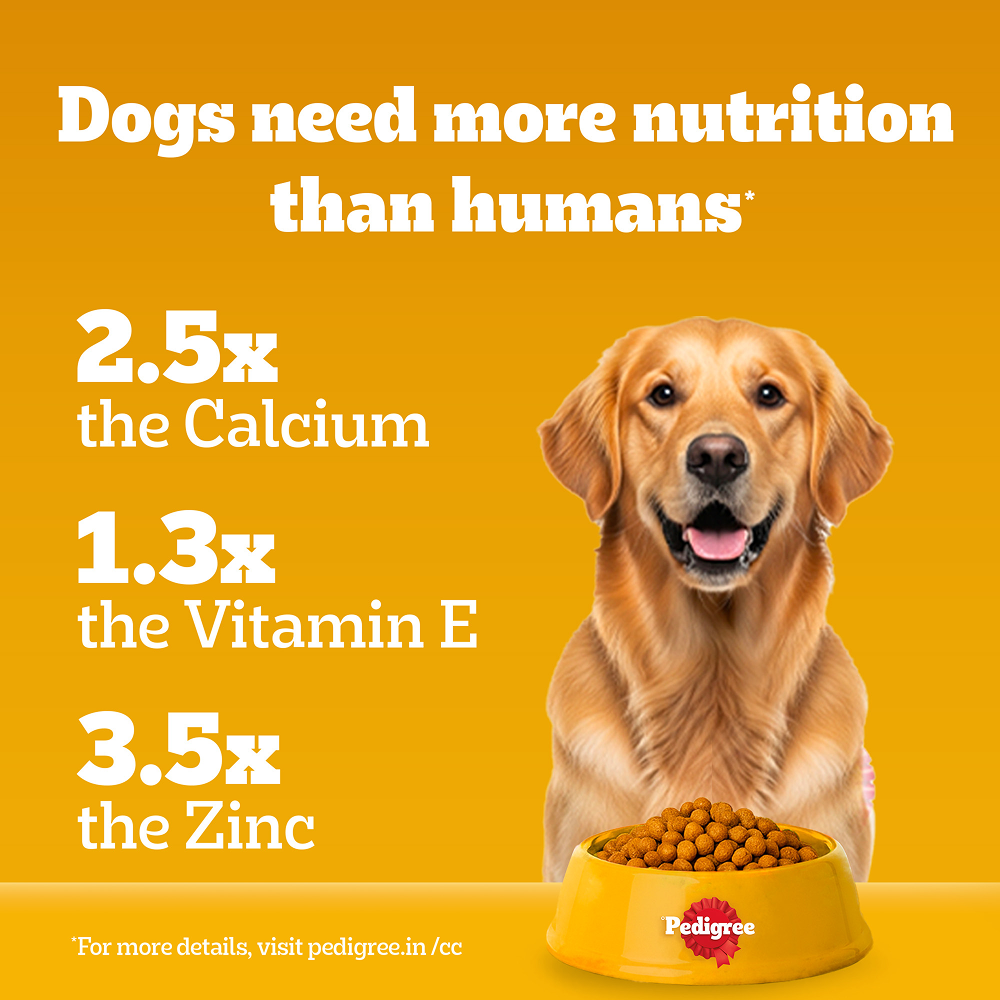 Pedigree Chicken & Veg Dry Food with Petkit FreshElement Solo Smart Wi Fi Feeder Ultimate Smart Feeding Adult Dog Combo