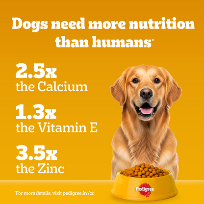 Pedigree Chicken & Veg Dry Food with Petkit FreshElement Solo Smart Wi Fi Feeder Ultimate Smart Feeding Adult Dog Combo