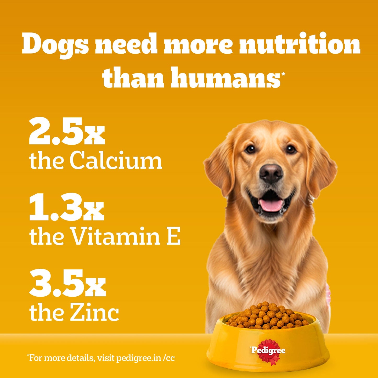 Pedigree Adult Dog Food Combo |Meat & Rice Dry & Chicken & Liver Wet