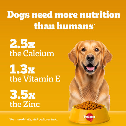 Pedigree Adult Dog Food Combo |Meat & Rice Dry & Chicken & Liver Wet