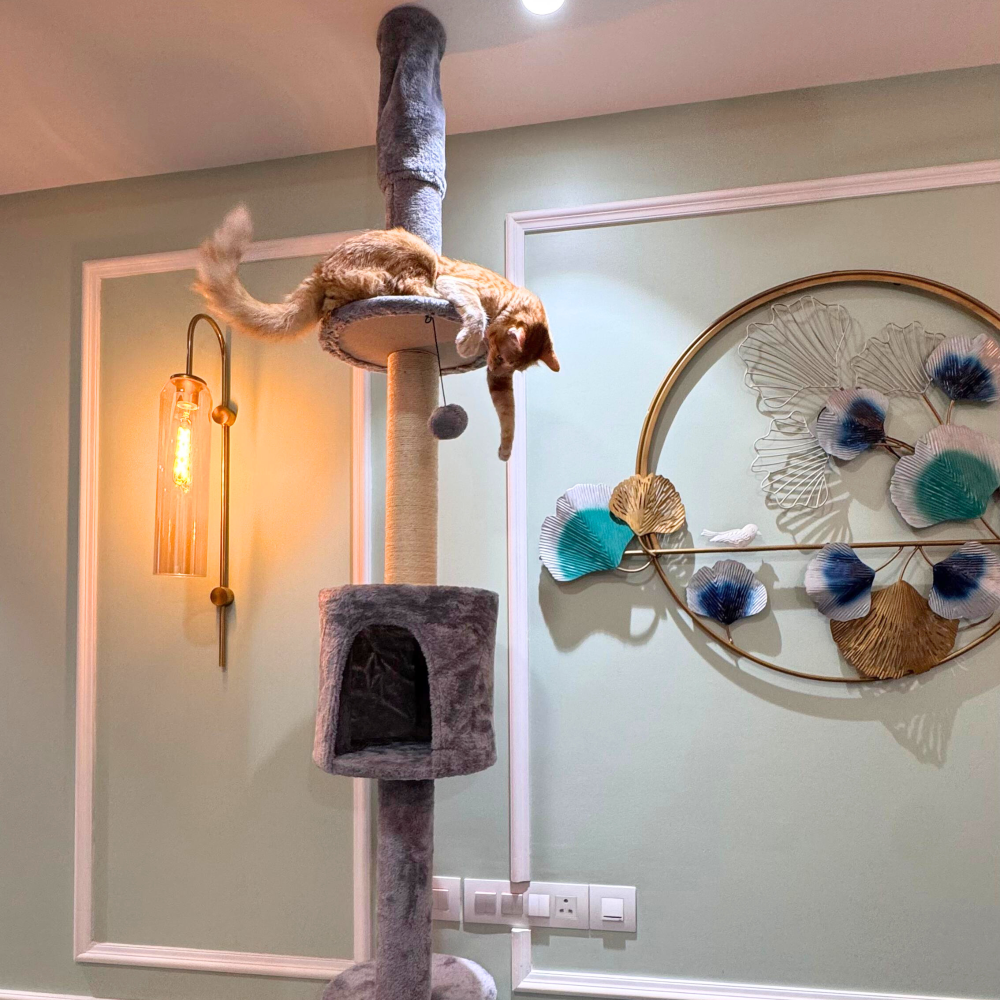 FurryLiving Sora Adjustable Floor to Ceiling with Scratching Posts, Condo and Hanging Toy Cat Tree