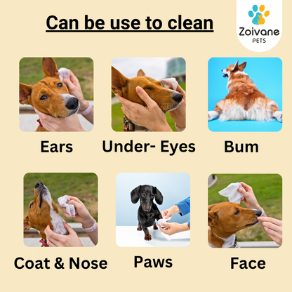 Zoivane Wet Wipes for Dogs and Cats