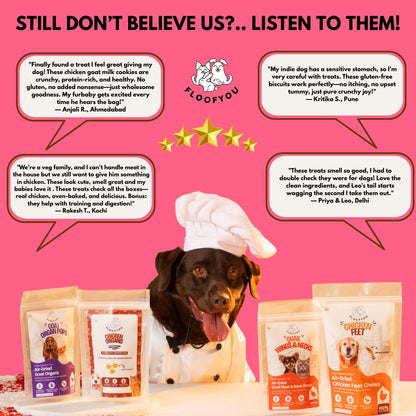 Floofyou Chicken Goat Milk Oven Baked Cookie Dog Treats