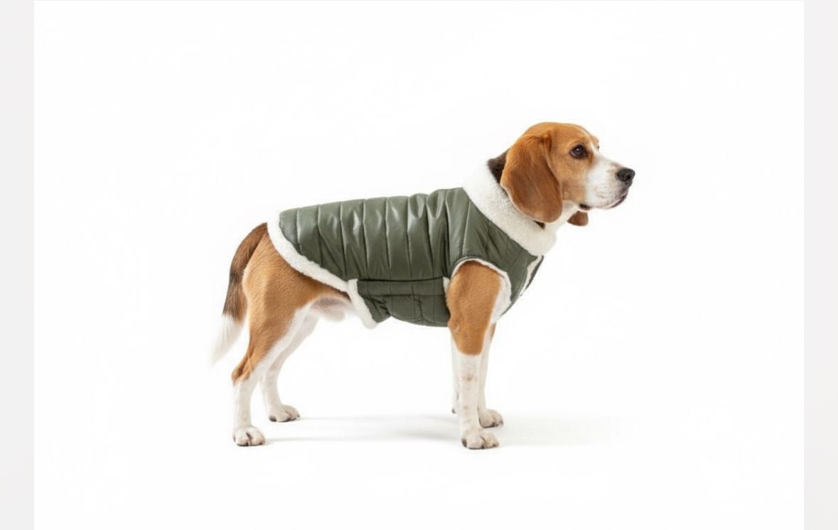 Woofiezz Warm & Comfortable Winter Jackets for Dogs and Cats (Olive Green)