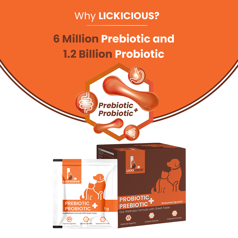 Lickicious Pre and Probiotics Sachets,Gut Health & Digestion for Dogs & Cats
