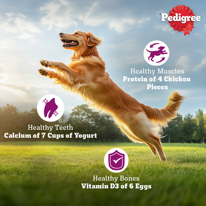 Pedigree Chicken Biryani Flavour Adult Dog Dry Food