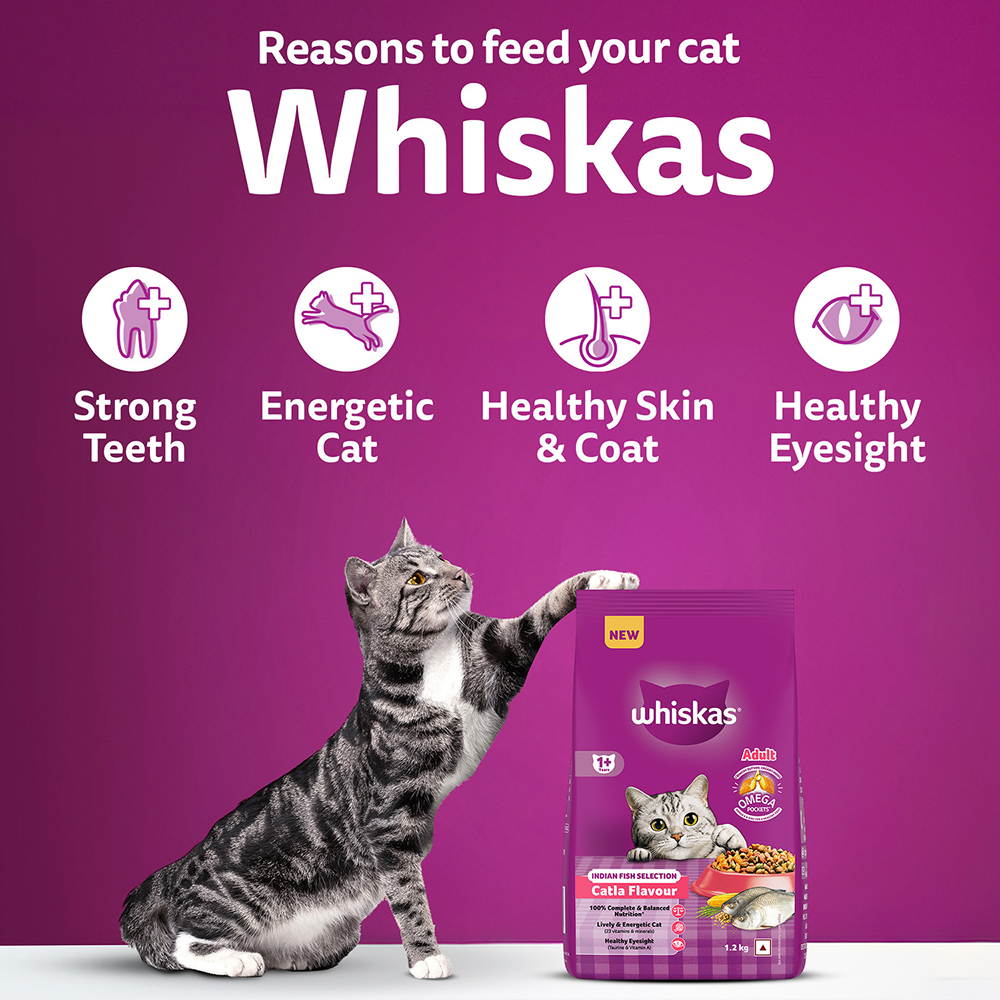 Whiskas Catla Fish Flavour Adult Cat Dry Food