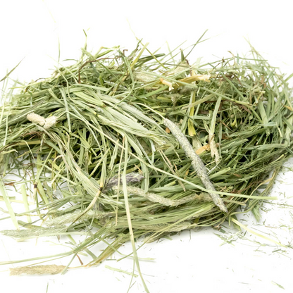 Science Selective Timothy Hay for Rabbits and Guniea Pigs