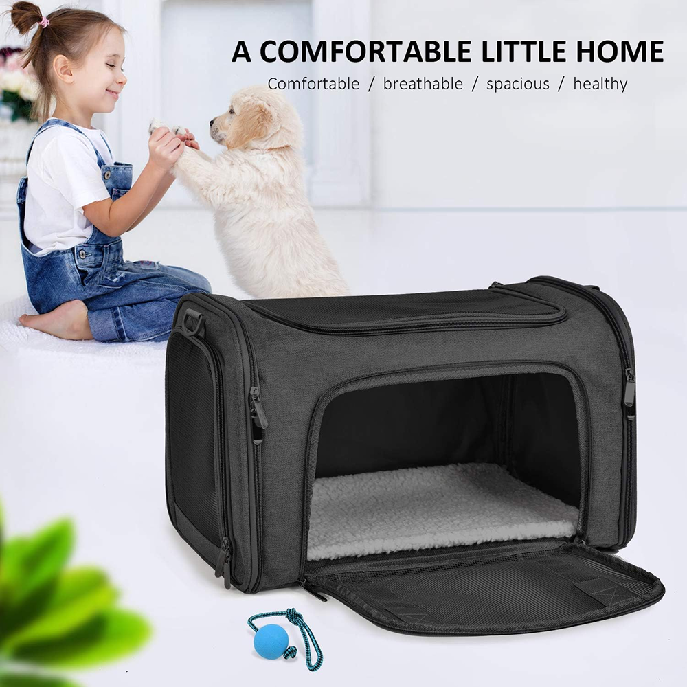 KUTKUT Soft Sided Airline Approved Foldable Travel Carrier for Small Dogs & Cat (Black)