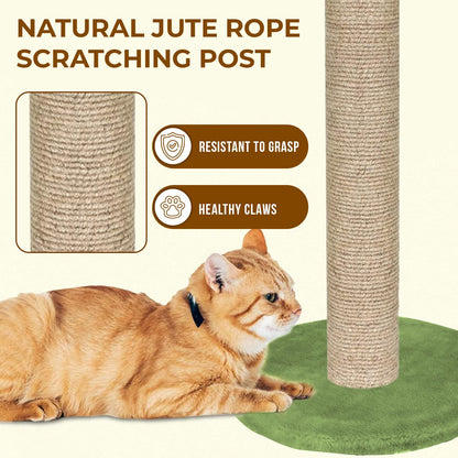 Furrlovers Cactus Scratching Post with Rope Wrapped Climbing Tower & Plush Top for Cats (Green)