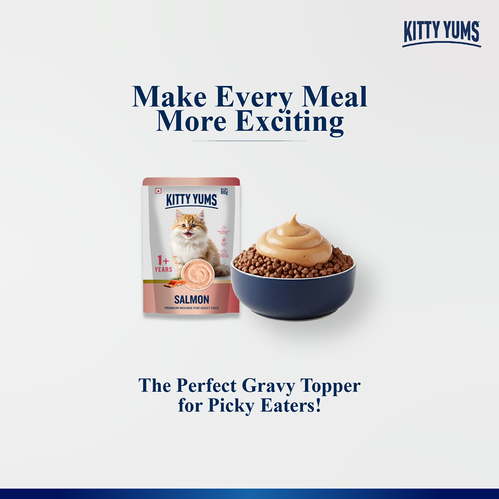 Kitty Yum Salmon Mousse Adult Cat Wet Food