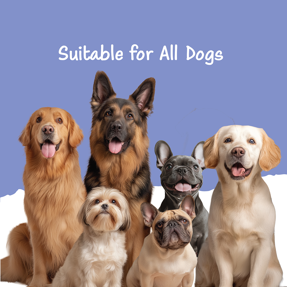 Carniwel Fresh Chicken Kibble Small Breed Adult Dog Dry Food and Fullr Mobility Support Soft and Chewy Stick Dog Treats Combo