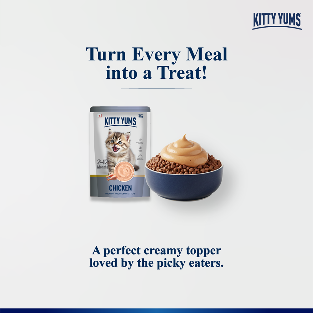 Kitty Yum Chicken Mousse Kitten Cat Wet Food