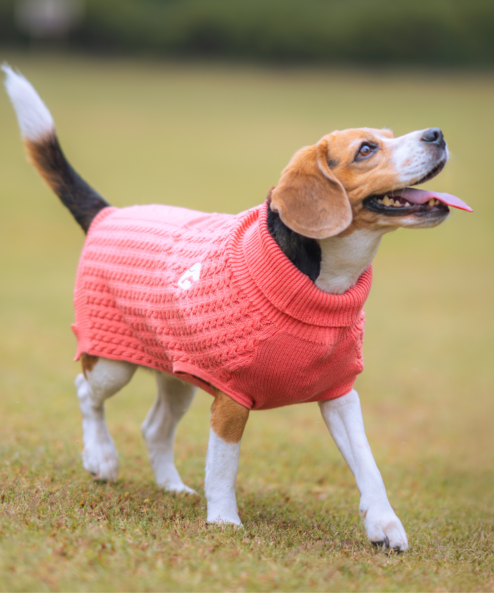 Pet Set Go Cable Knit Sweater for Dogs (Peach)