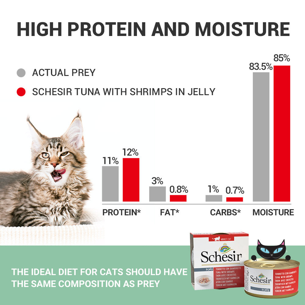 Schesir Tuna In Jelly with Shrimp Adult Cat Wet Food