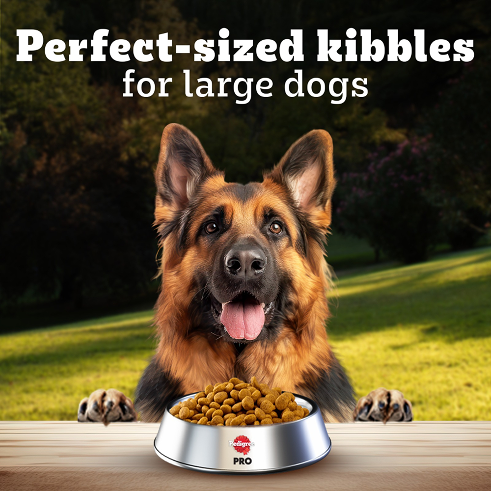 Pedigree PRO Expert Nutrition Active Adult (18 Months Onwards) Large Breed Dog Dry Food