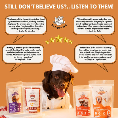 Floofyou Air Dried High Protein Chicken Liver Jerky Dog Treats