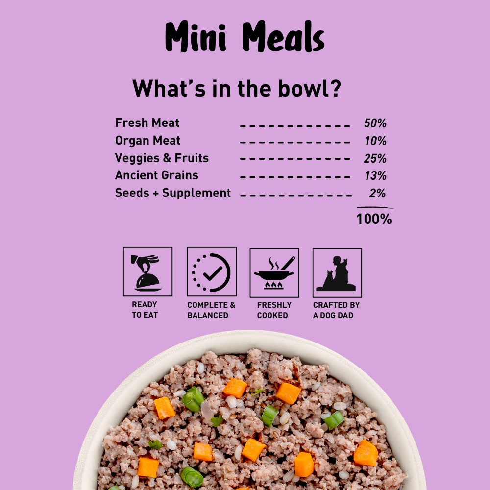 Homiee & Ginger Grain Free Mini Meals Surf & Turf, Fish Feista, Chicken & Barley Food for Dogs Combo
