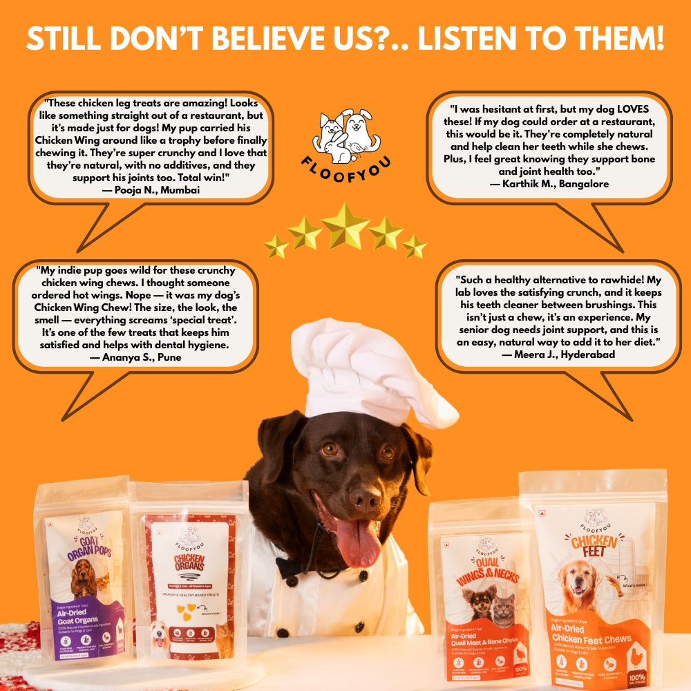 Floofyou Air Dried Chicken Wings Crunchy Dental Chew Dog Treats