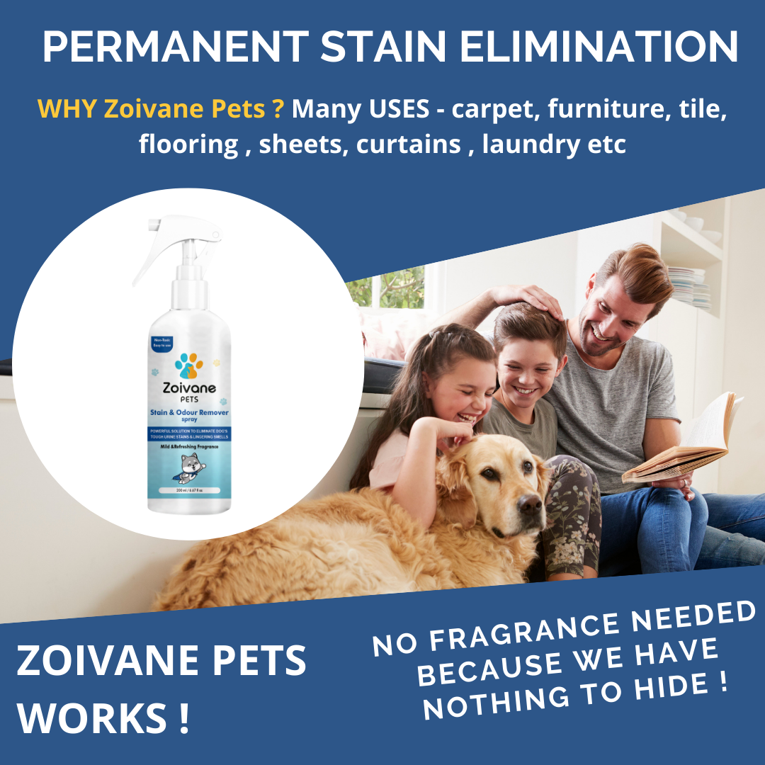 Zoivane Stain and Odour Eliminator for Dogs and Cats