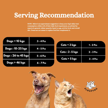 Floofyou Air Dried High Protein Chicken with Fish Jerky Dog and Cat Treats