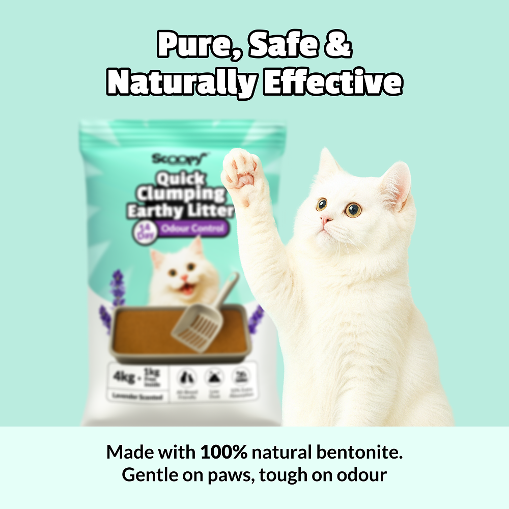 Scoopy Cat Litter | Lavender Scented | 100% Natural Indian Brown Sand