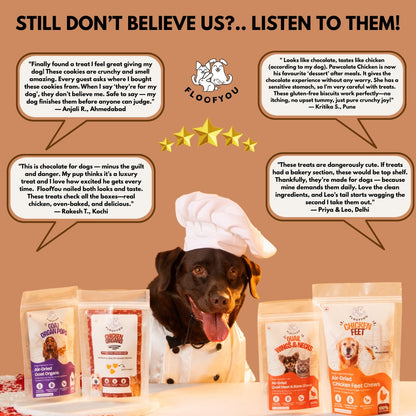 Floofyou Pawcolate Chicken Chocolate Safe Oven Baked Cookie Dog and Cat Treats