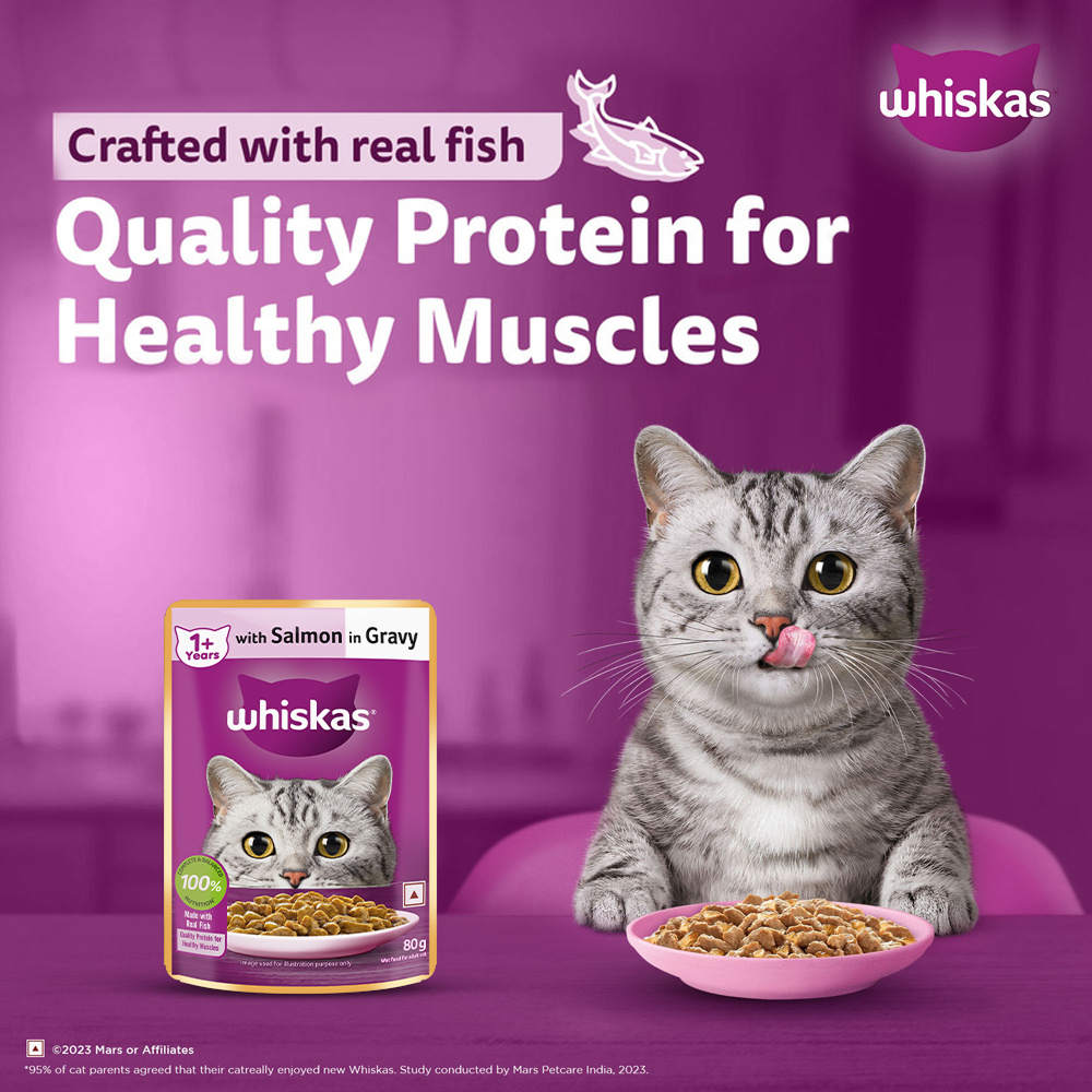 Whiskas Adult Cat Food Combo |Ocean Fish Dry & Salmon in Gravy Wet