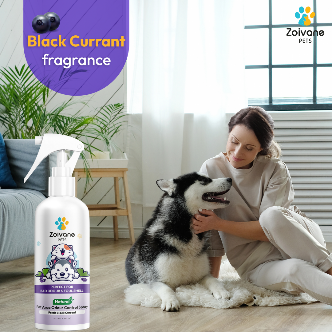 Zoivane Pets Black Currant Odour Remover Spray for Dogs and Cats
