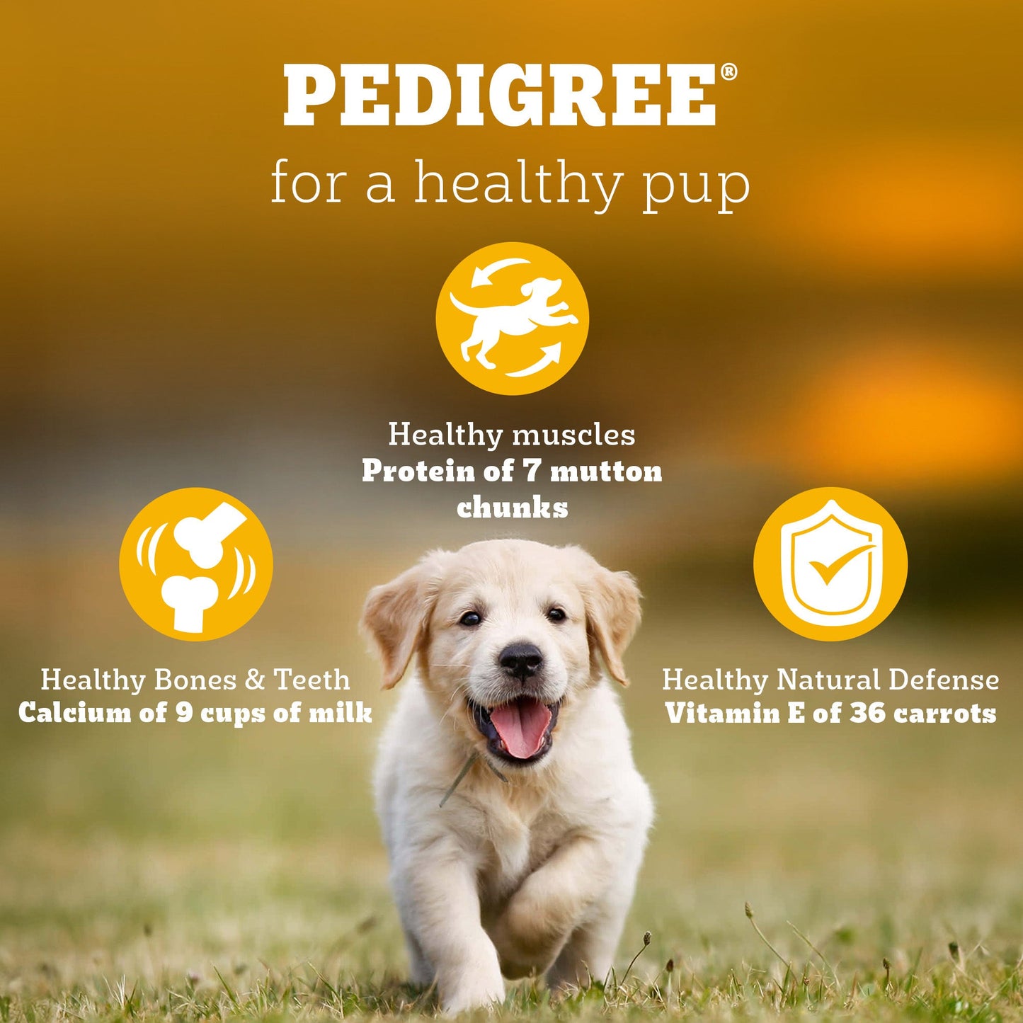 Pedigree Puppy Dog Food Combo |Meat & Milk Dry & Chicken & Liver Wet