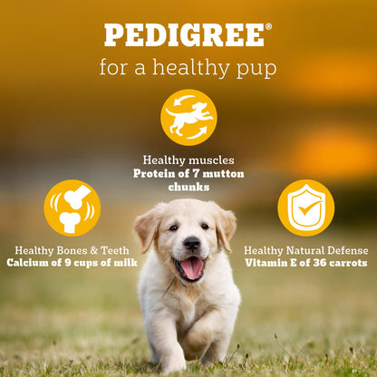 Pedigree Puppy Dog Food Combo |Meat & Milk Dry & Chicken & Liver Wet