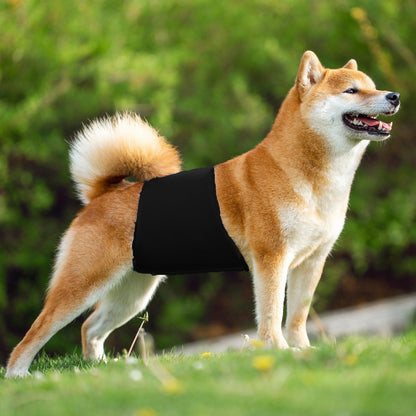 KUTKUT Diapers for Male Dogs (Black)