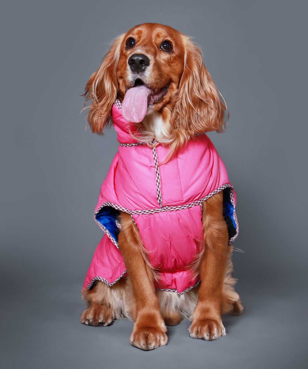 Pet Set Go Wind Sheeter Jackets for Dogs (Pink)