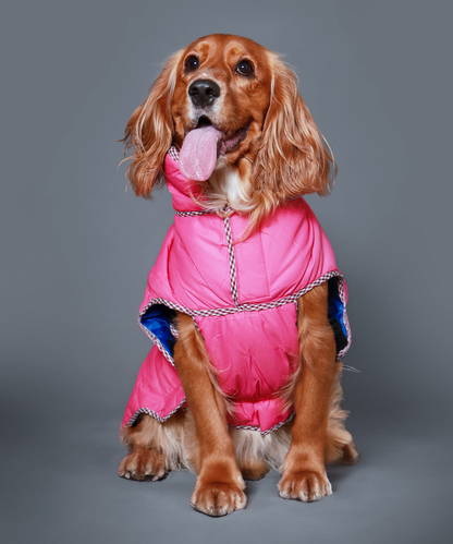 Pet Set Go Wind Sheeter Jackets for Dogs (Pink)