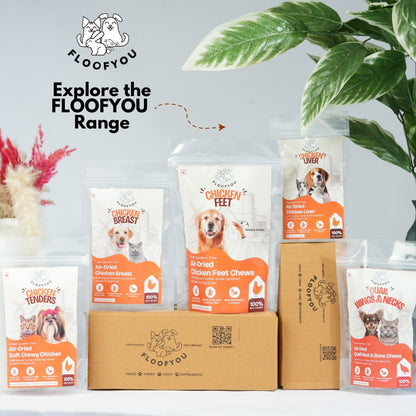 Floofyou Home Made Carrot Apple Birthday Cake Mix for Dogs and Cats