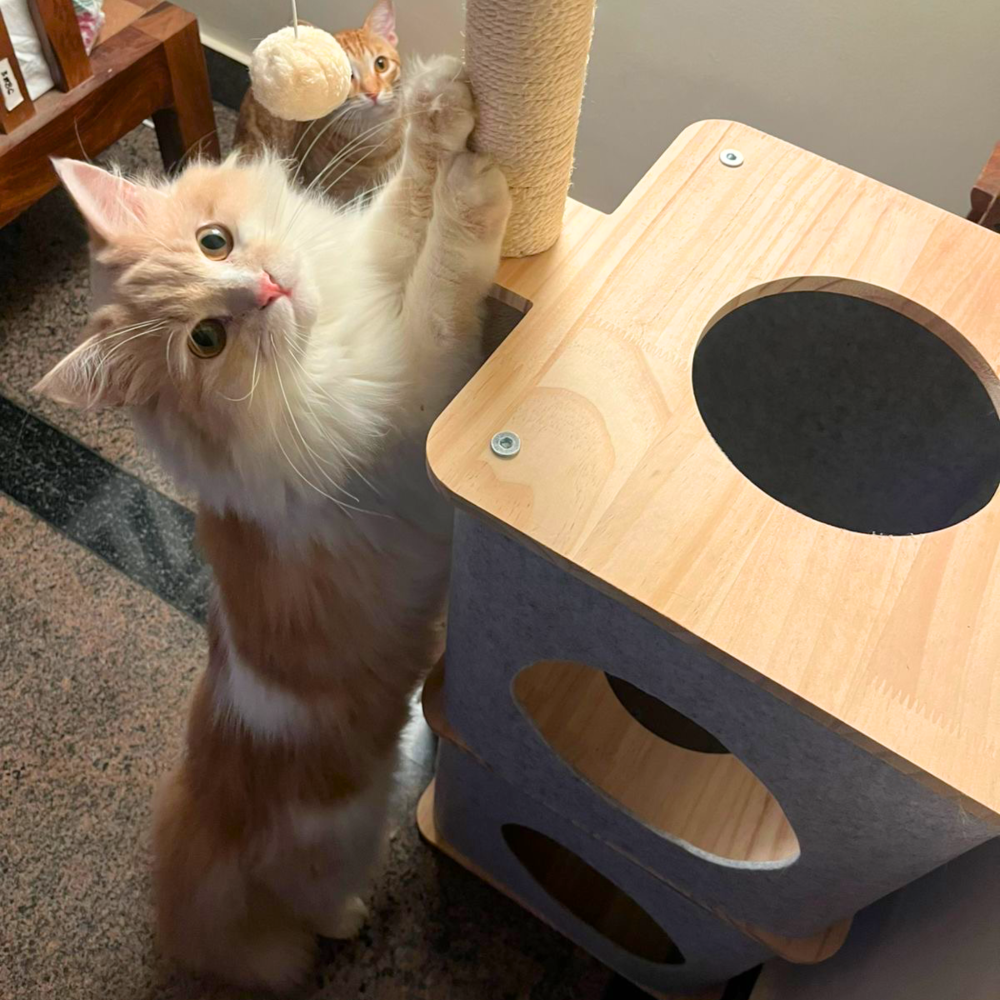 FurryLiving Nara Dual-Level Felt Condo with Scratch Pole & Hanging Toy Cat Tree