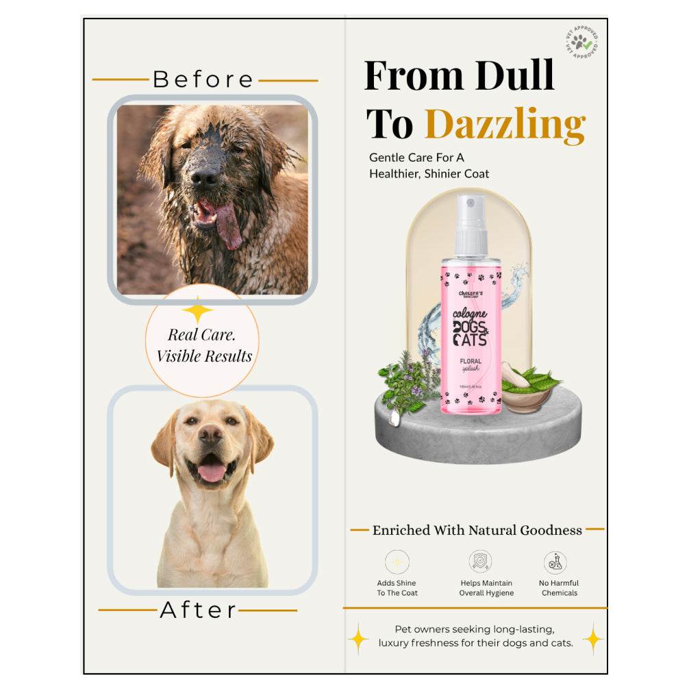 Dr. Chelsea's Floral Splash Cologne for Dogs and Cats