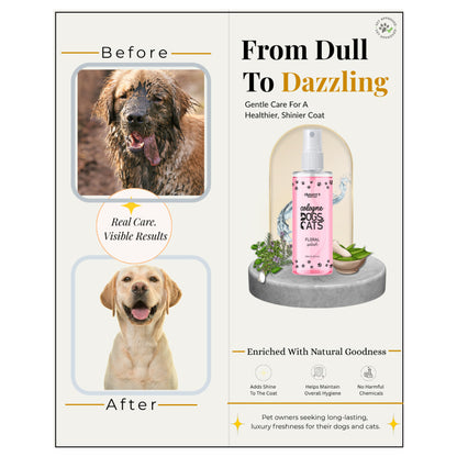 Dr. Chelsea's Floral Splash Cologne for Dogs and Cats
