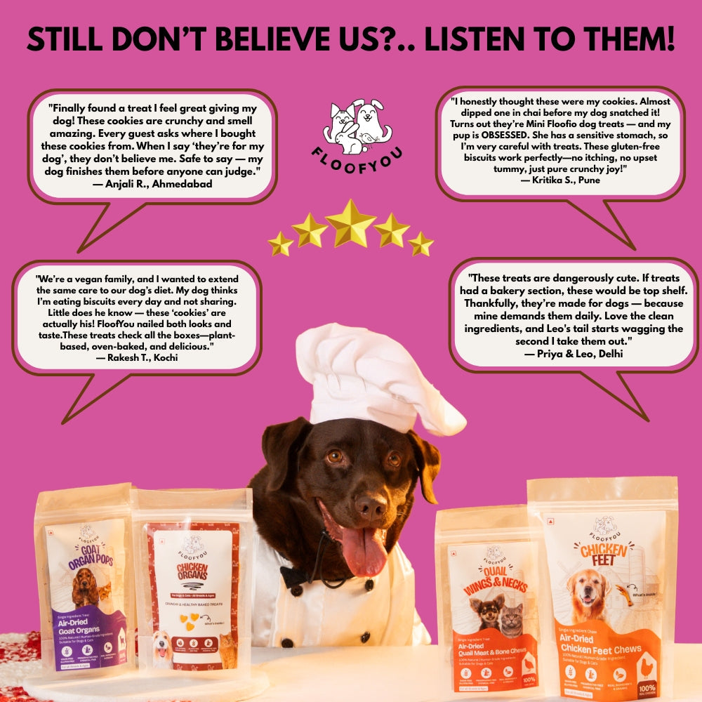 Floofyou Mini Floofio Beetroot Vegan Oven Baked Cookie Dog Treats