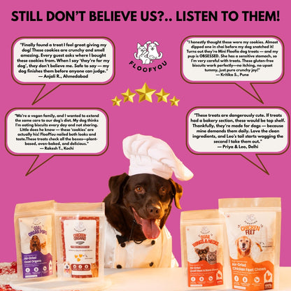 Floofyou Mini Floofio Beetroot Vegan Oven Baked Cookie Dog Treats