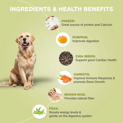 Bennys Bowl Variety Pack Dog Fresh and Wet Food