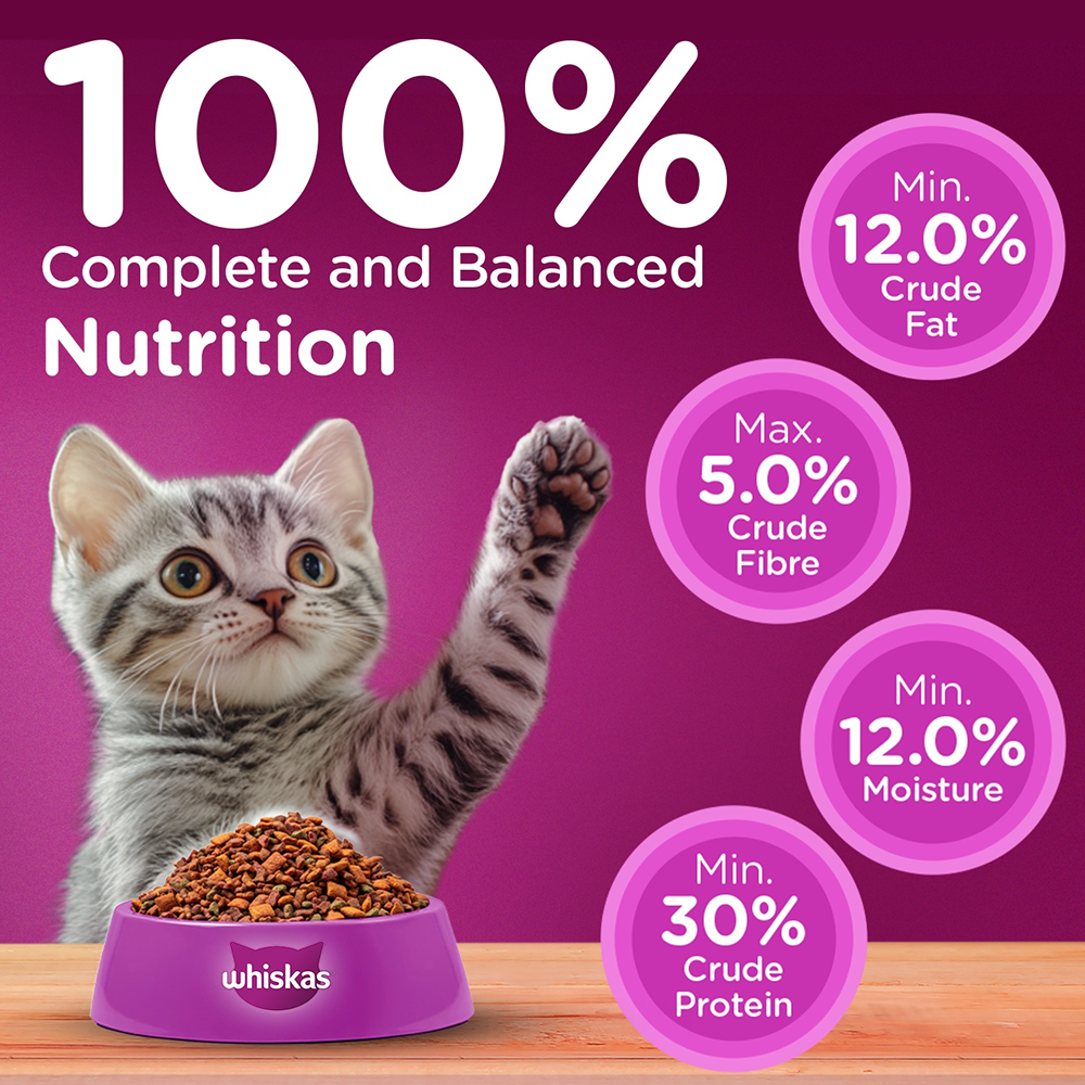 Whiskas Ocean Fish Kitten/Mother and Baby Dry Food & Petkit YumShare Solo Automatic Food Dispenser Combo for Kitten